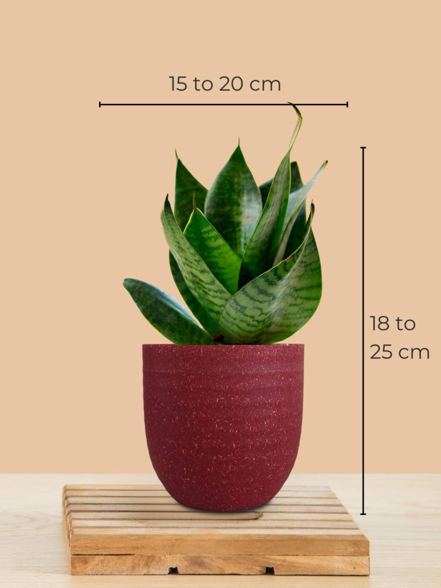 product image4