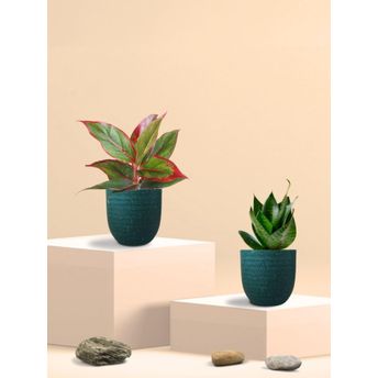product-image-lens