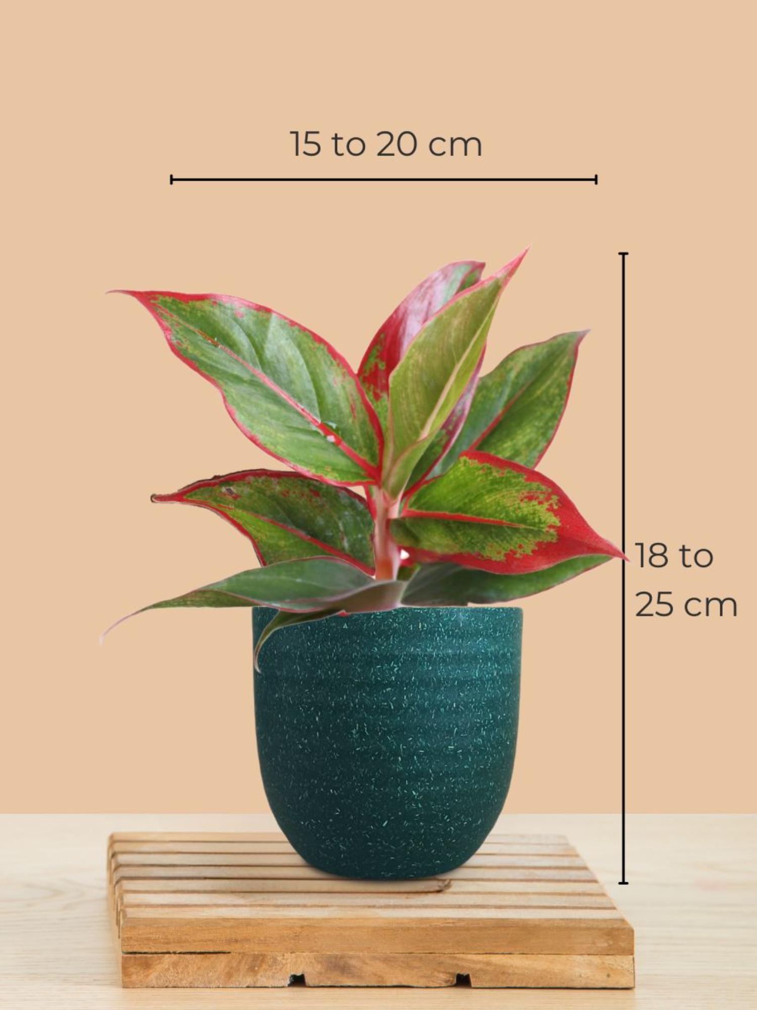 product image3