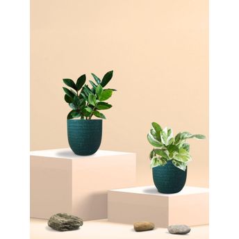 product-image-lens