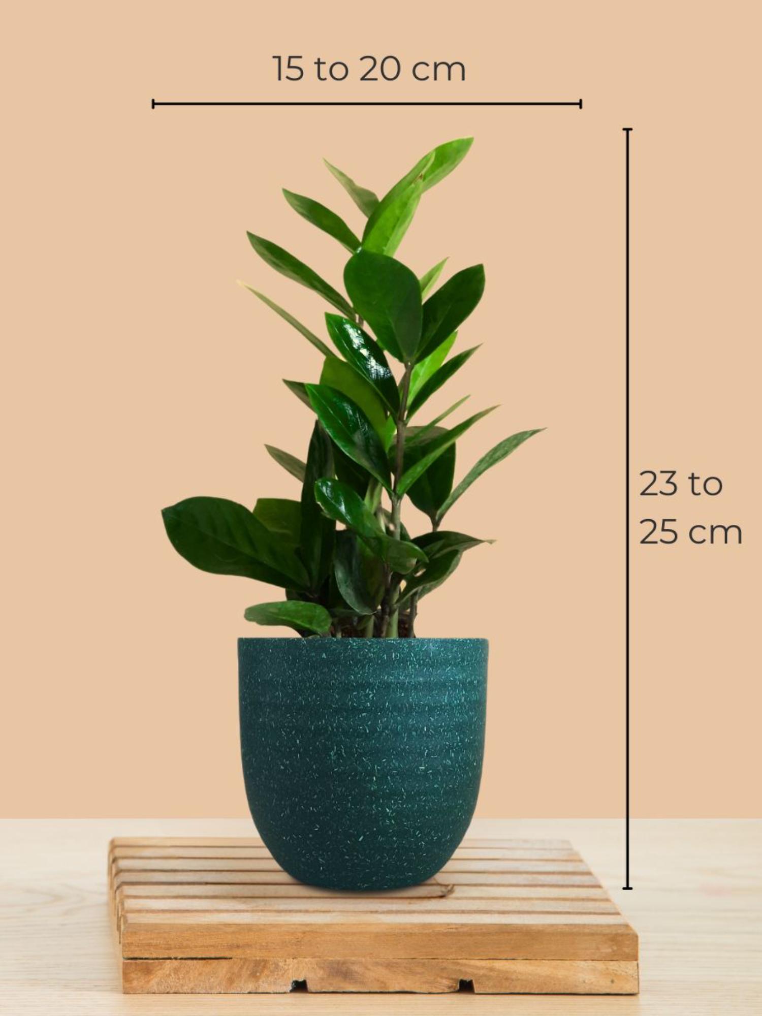 product image3