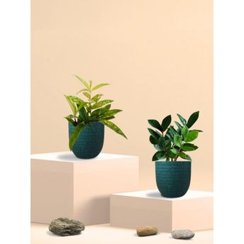 product-image-lens