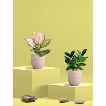 product-image-lens