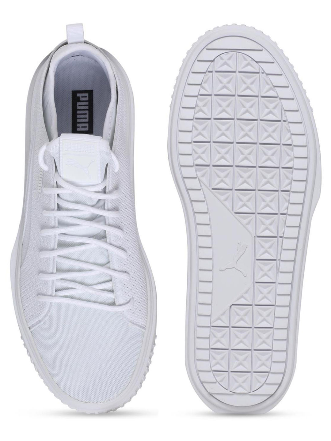 Breaker mesh 2024 translucency