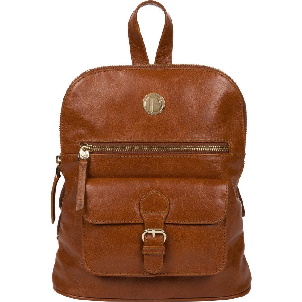 pure luxuries leather backpack