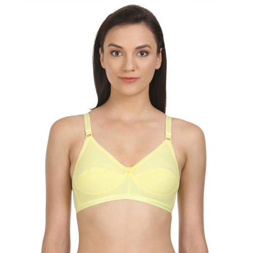 Buy Bodycare Pack of 3 Perfect Coverage Bra In Skin Colour online