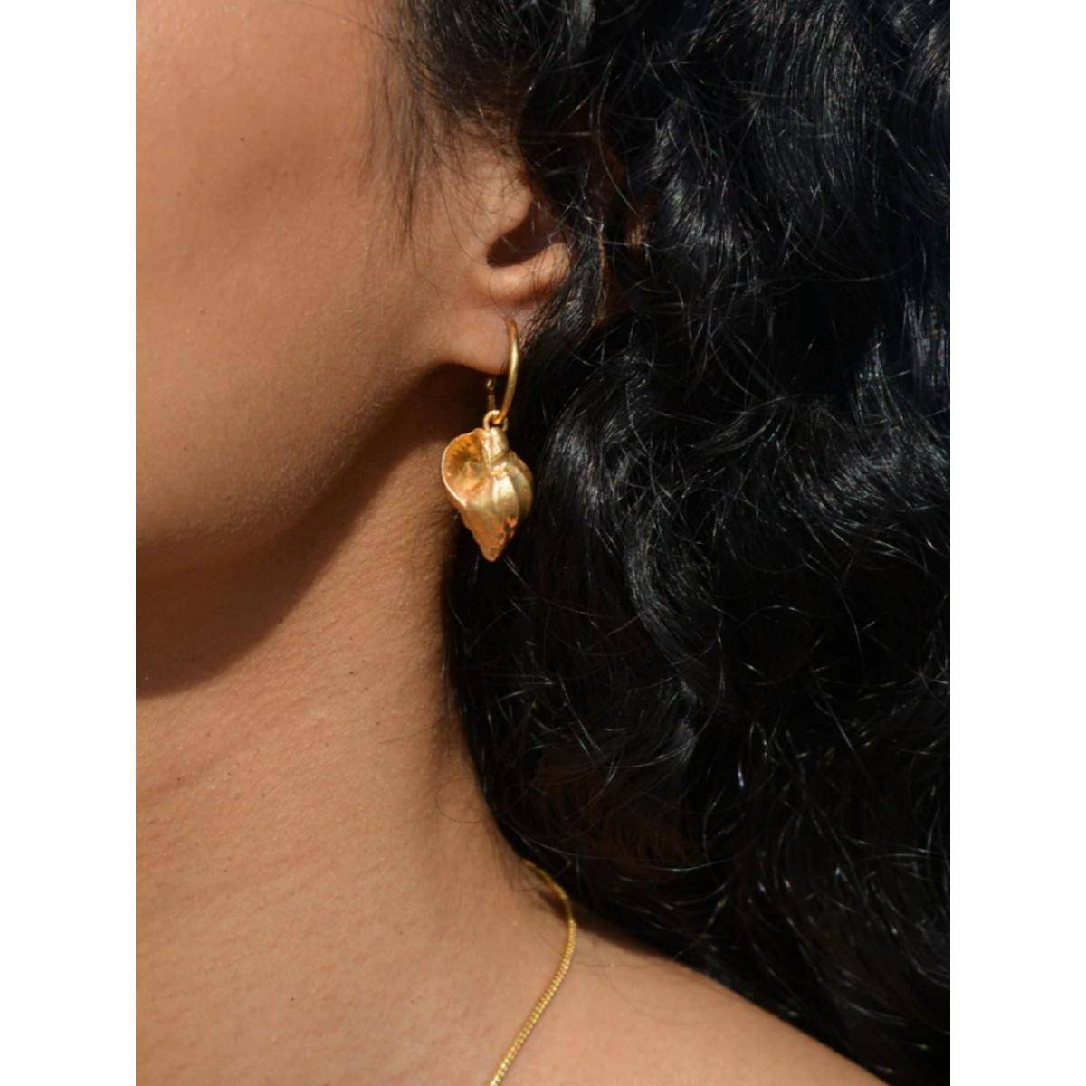 Tangerine Dove Hoops