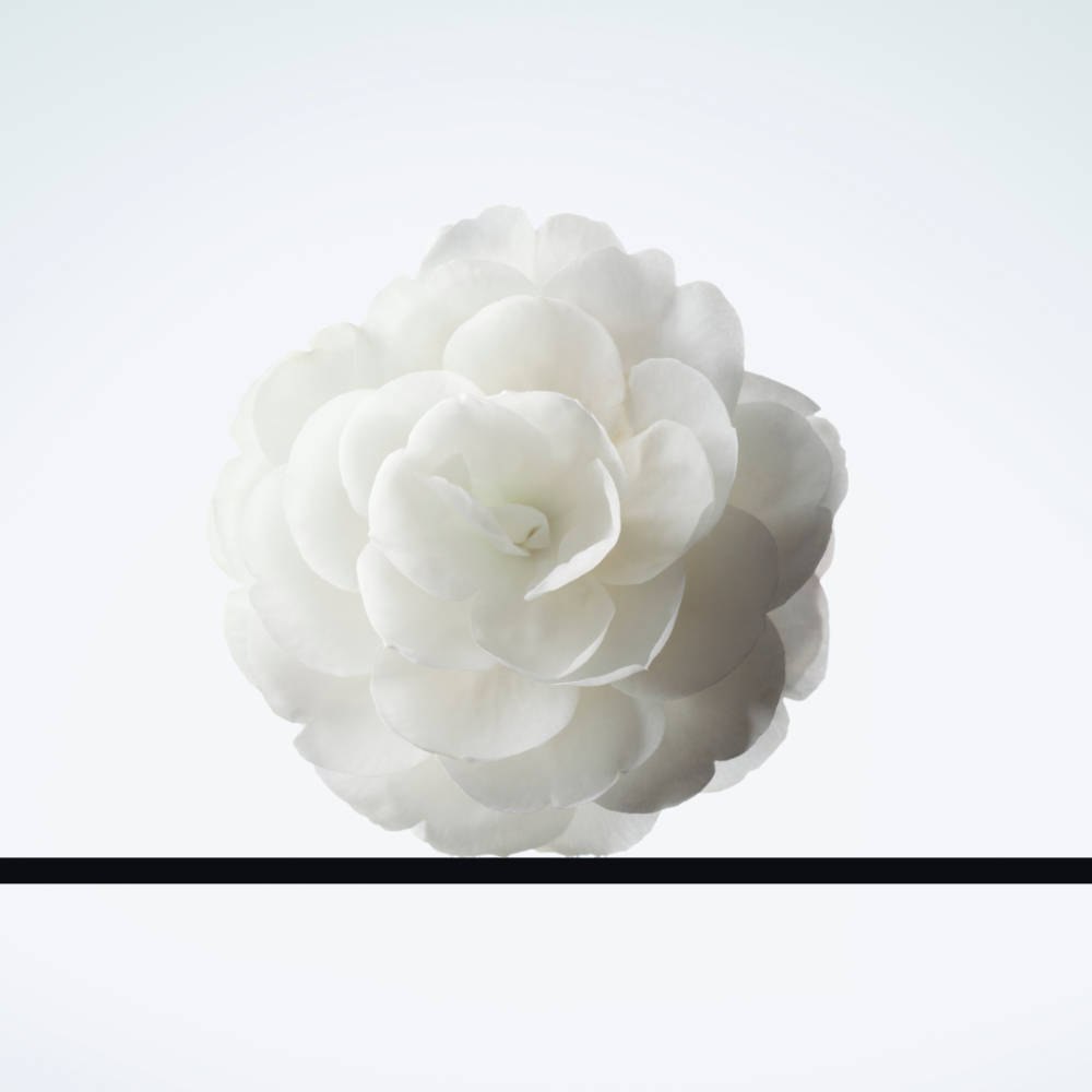 product image7