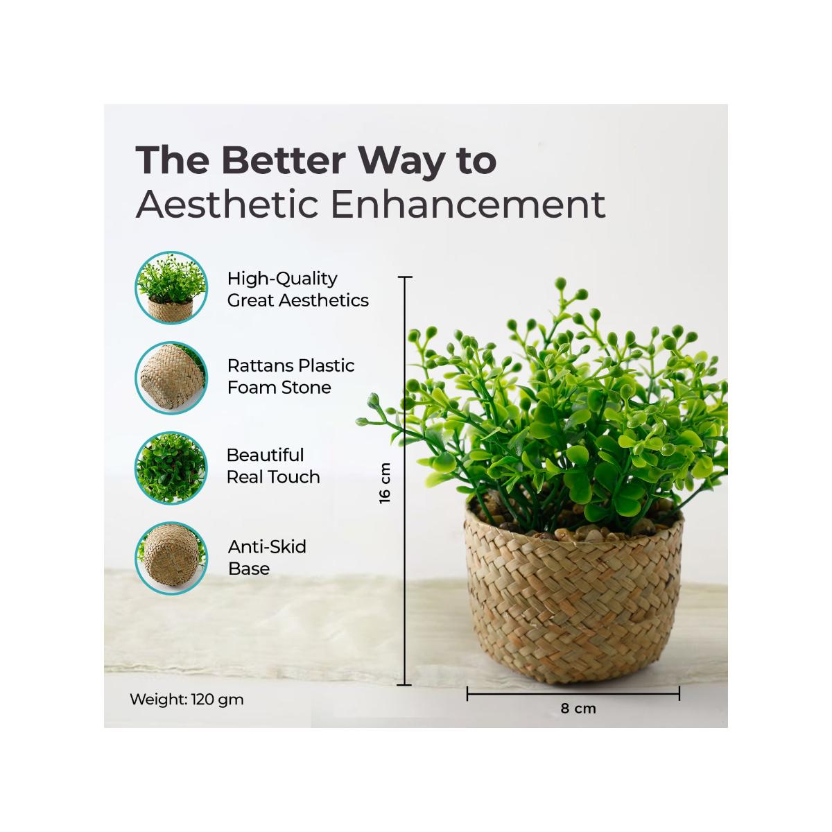 Buy The Better Home Artificial Plants For Home Decor Items With Rattan