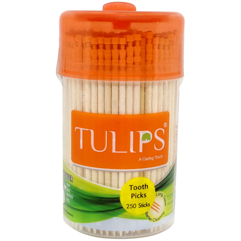 Tulips Toothpicks Wooden Jar