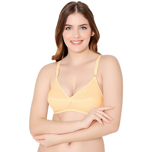 Buy Bodycare Polycotton Skin Color Bra 1531SS (Pack of 2) Online