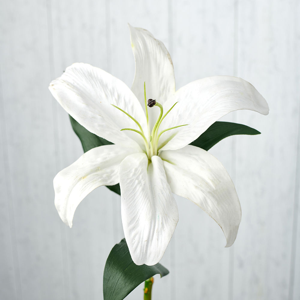 Pure Home + Living Set Of 2 Tiger Lily Pick Buy Pure Home + Living Set