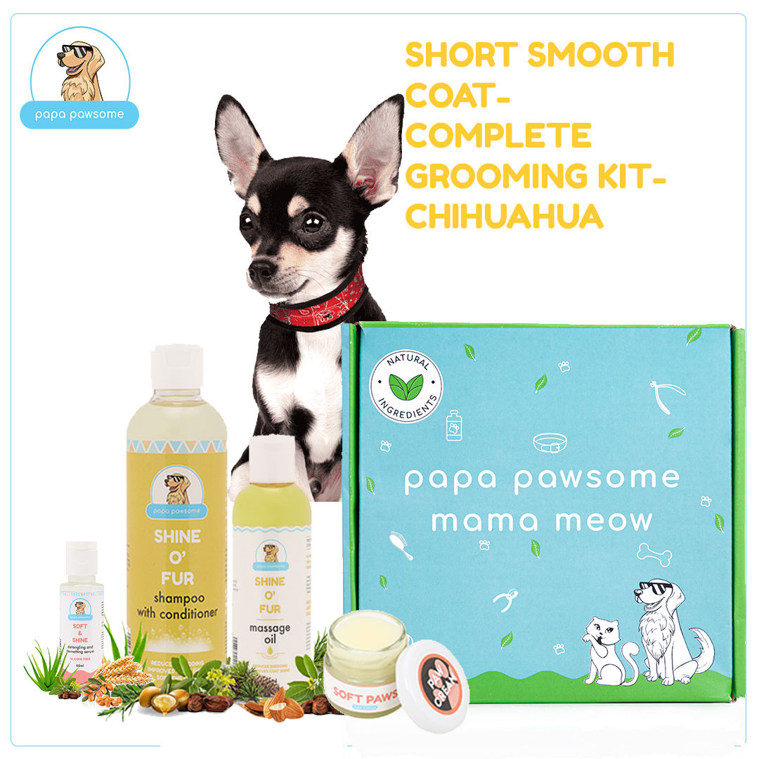 Papa Pawsome Short-smooth Coat - Chinuahua - Complete Grooming Kit