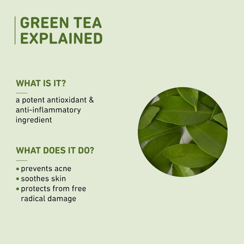 Buy Plum Green Tea Face Wash, Toner & Moisturizer Kit for AcneFree