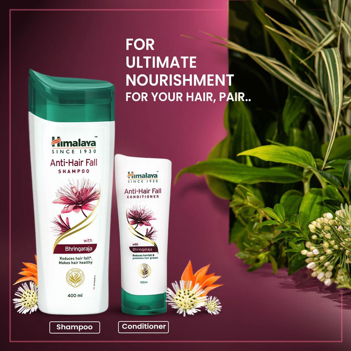 Himalaya Anti-Hair Fall Shampoo With Bhringraja & Palasha: Buy Himalaya ...