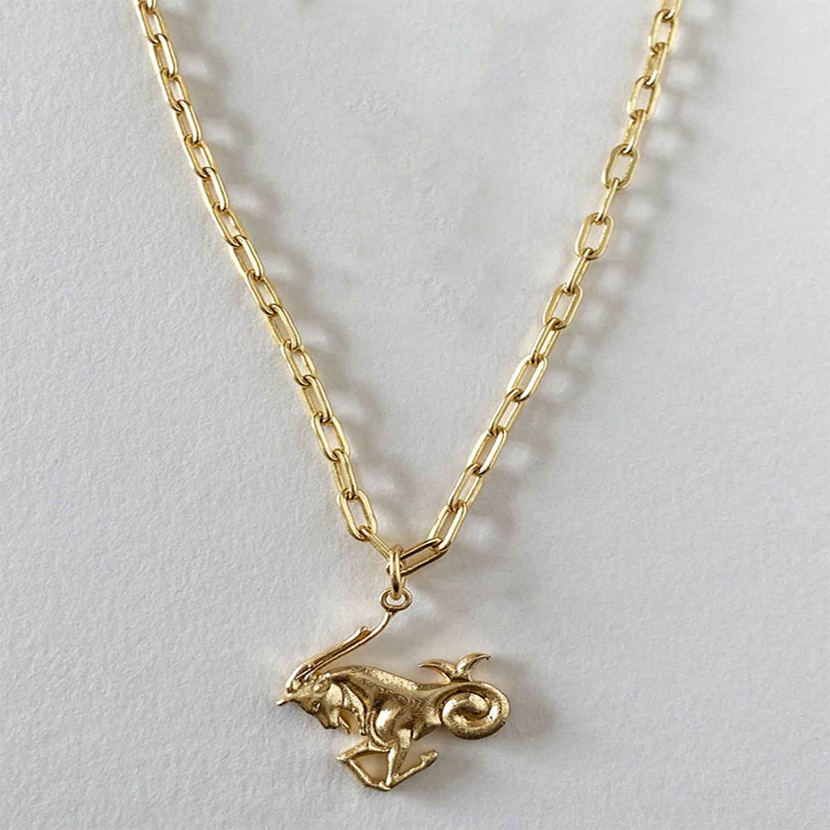 Buy Tipsyfly Capricorn Chain Necklace Online