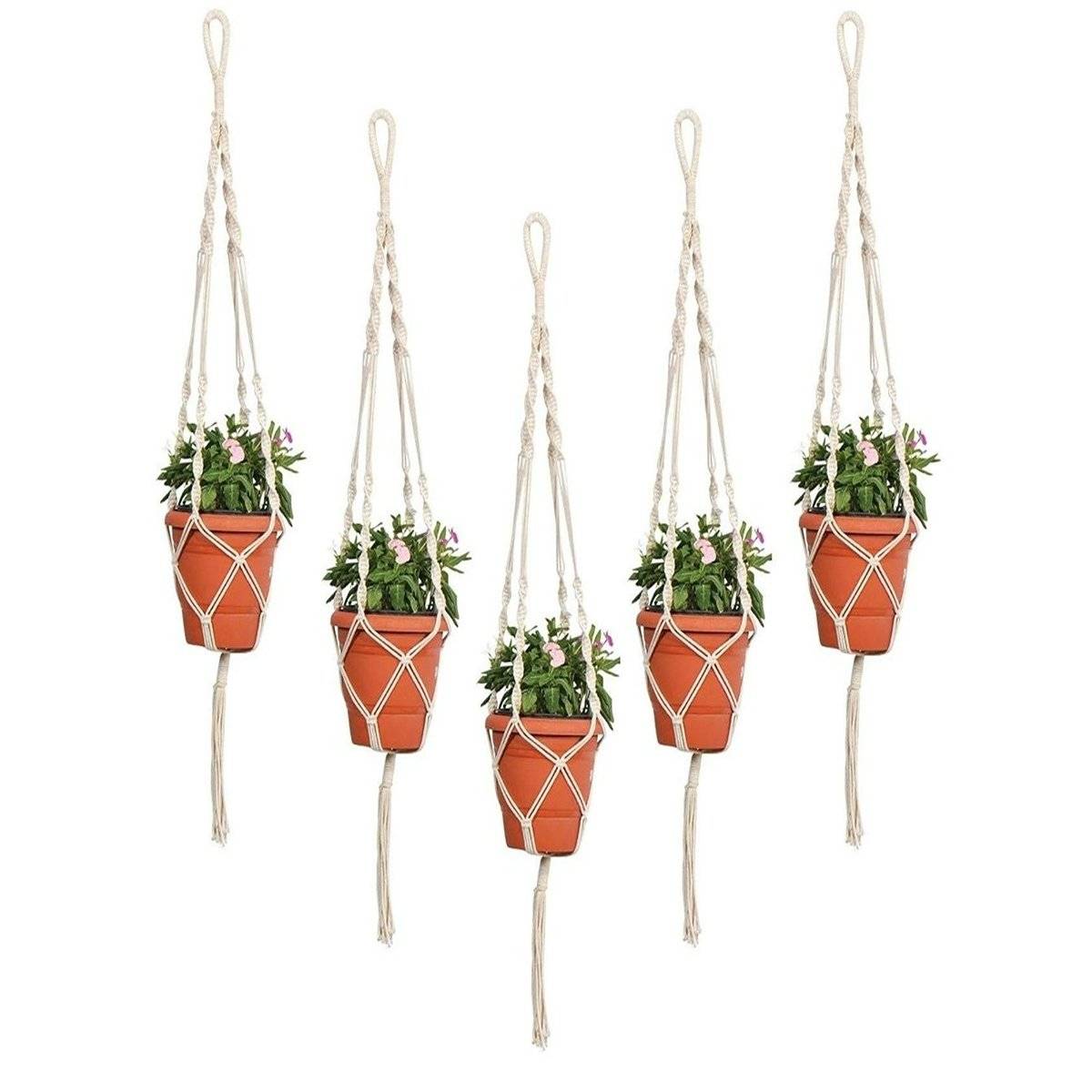 Ecofynd Twisted Macrame Plant Hanger (Set Of 5)