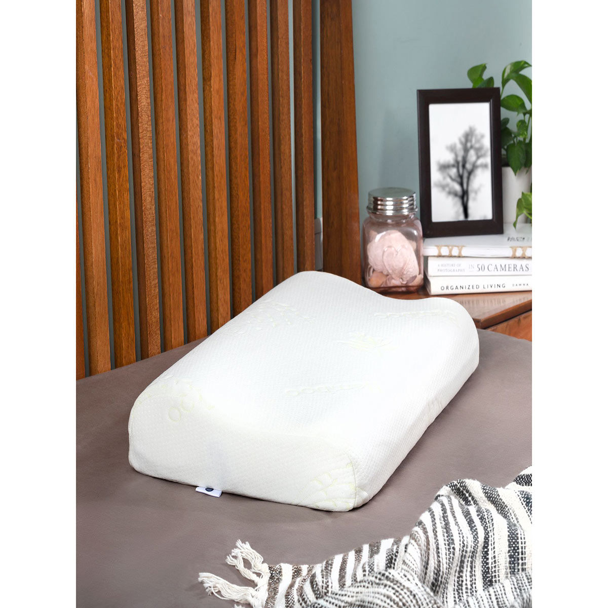 Pillow outlet king cervical