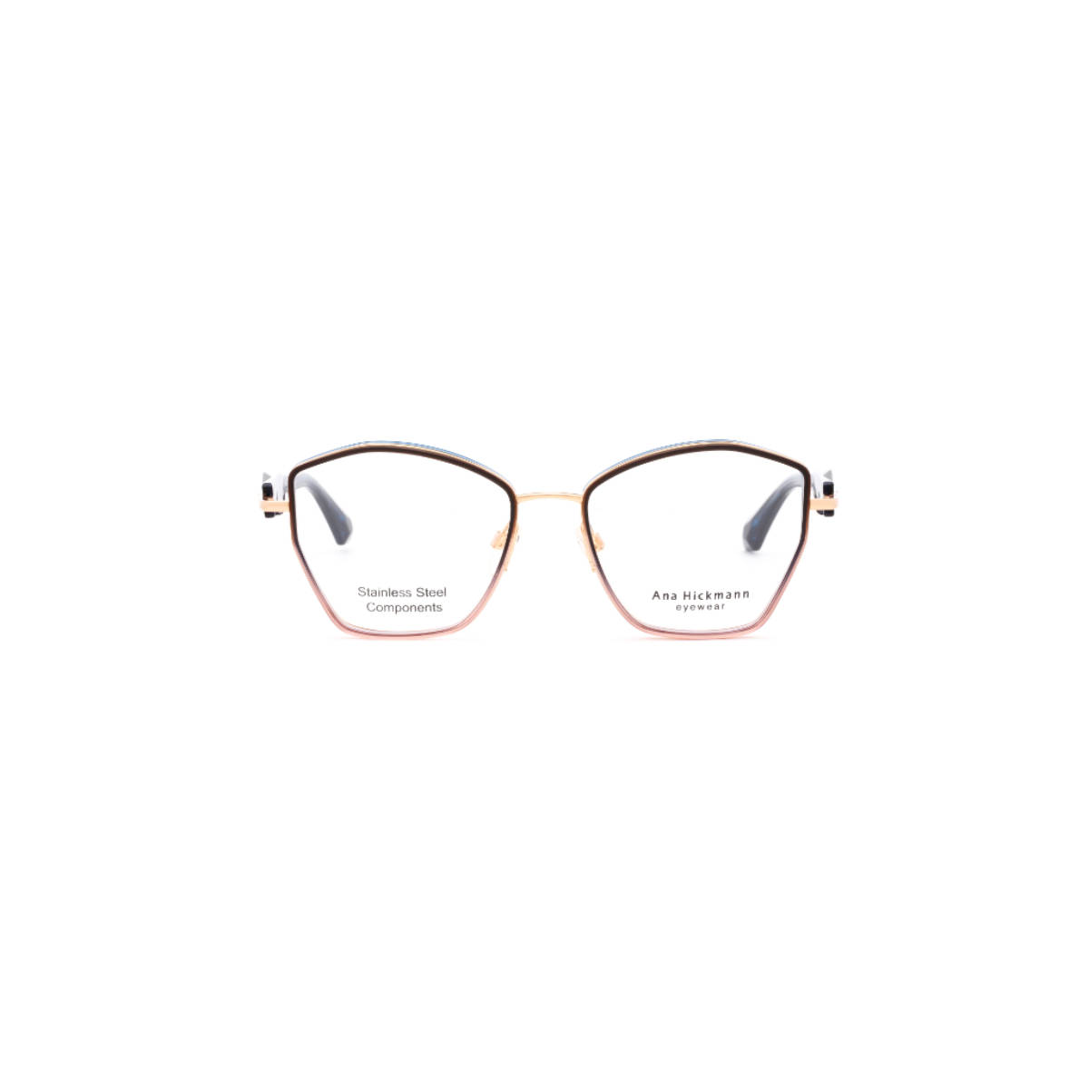Ana Hickmann Women Eyewear Brown Acetate Frame (AH1537C01FR) (54)