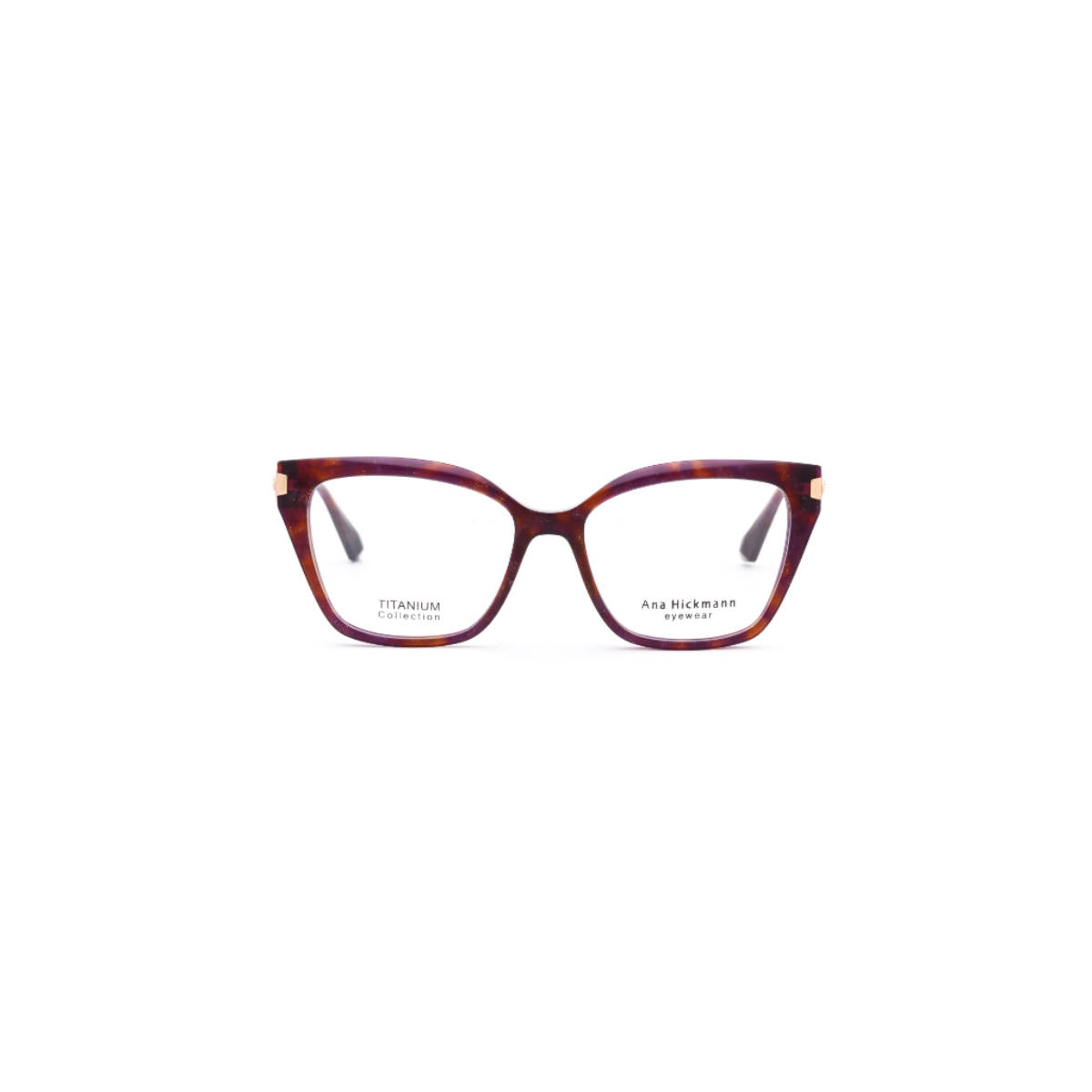 Ana Hickmann Women Eyewear Brown Acetate Frame (AH6562TG22FR) (54)