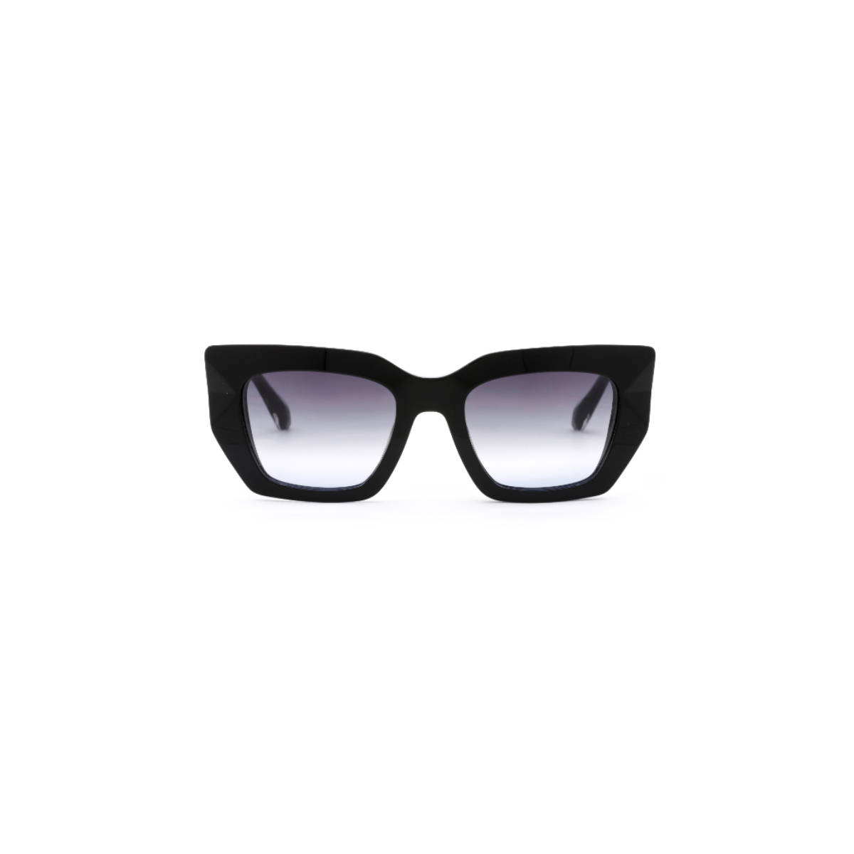 Ana Hickmann Women Sunglasses Black Acetate Frame & Grey Colored Lens (AH9416A01SG) (51)