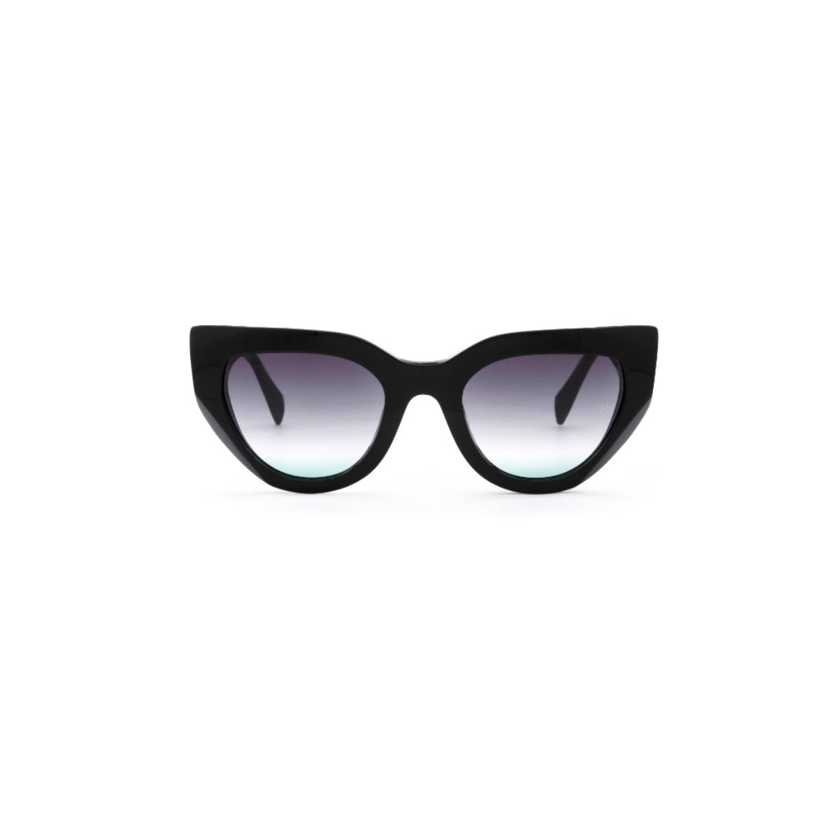 Ana Hickmann Women Sunglasses Black Acetate Frame & Grey Colored Lens (AH9425A01SG) (54)