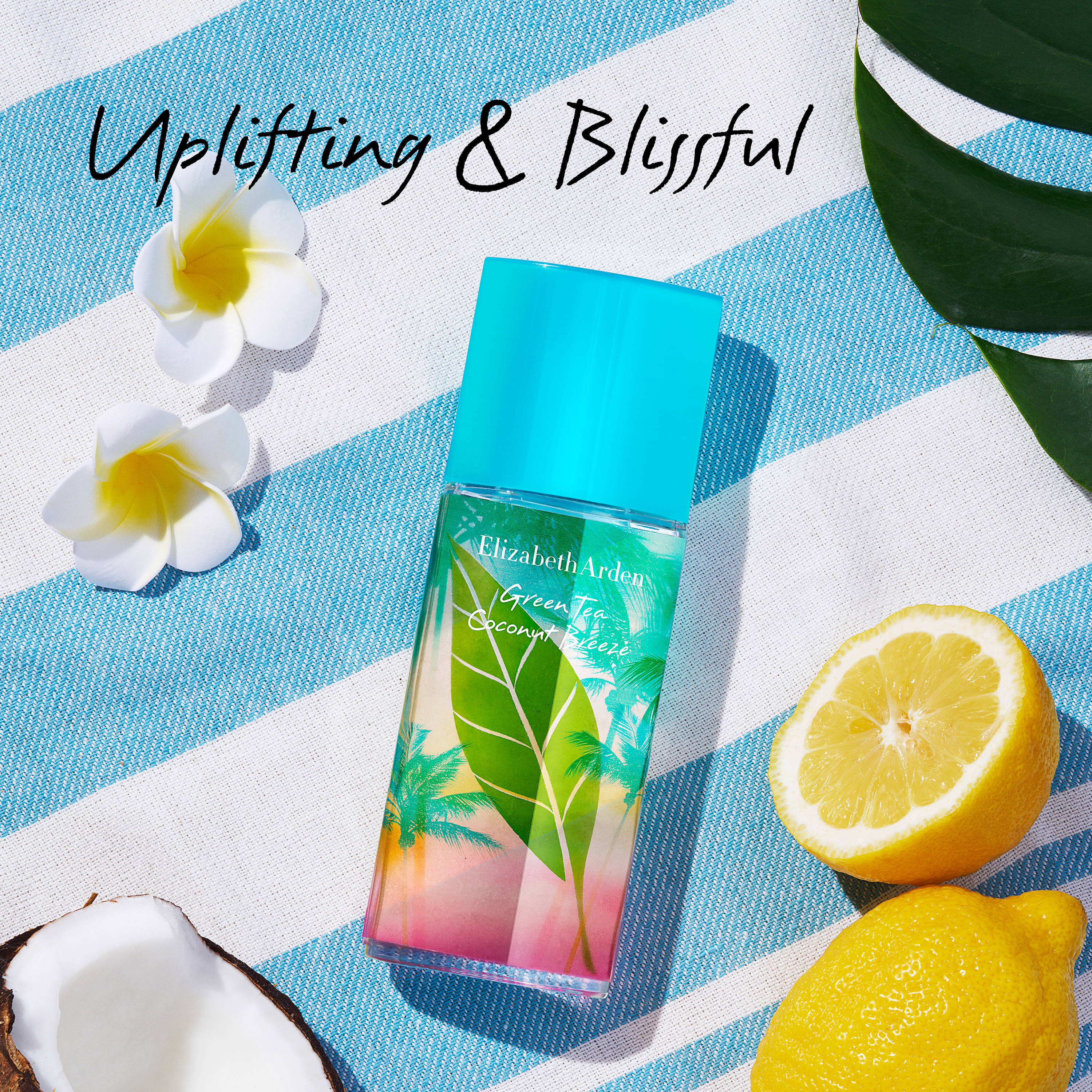 Elizabeth Arden Greent Tea Coconut Breeze Eau De Toilettee - view 5