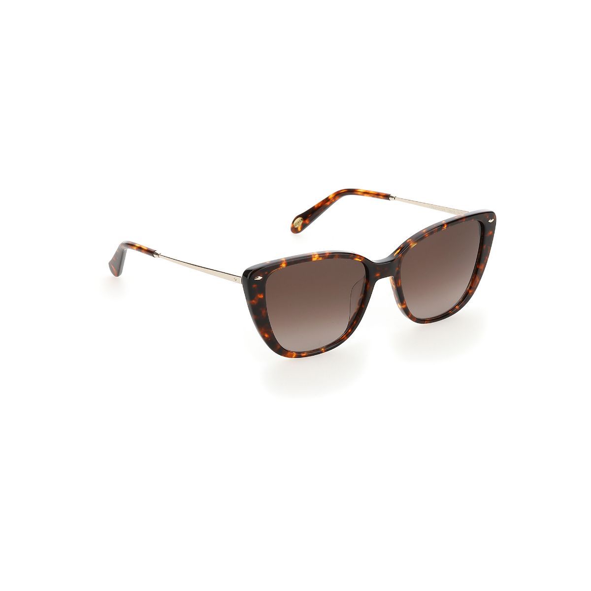 Buy Fossil Brown Shaded Lens Cat Eye Sunglass FullRim Havana Frame