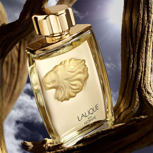 Buy Lalique Pour Homme Lion Eau De Parfum For Him Online