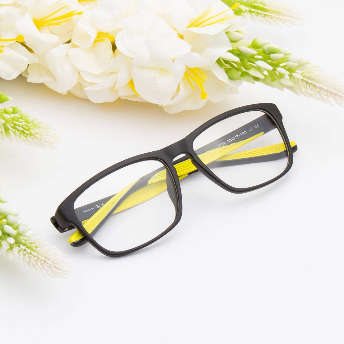 TED SMITH Unisex Plastic Wayfarer Black Eyeglass Frame (55)