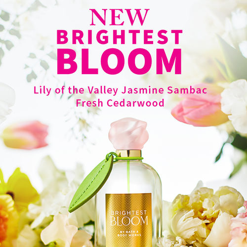 Fragrance Bath Body Works Jasmine Buy Bath Body Works Bouquets