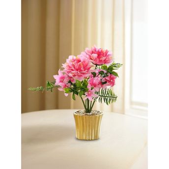 product-image-lens
