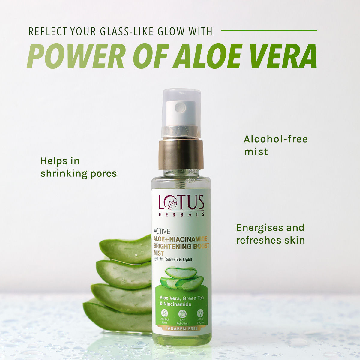 Buy Lotus Herbals Active Aloe + Niacinamide Brightening Boost Mist Online