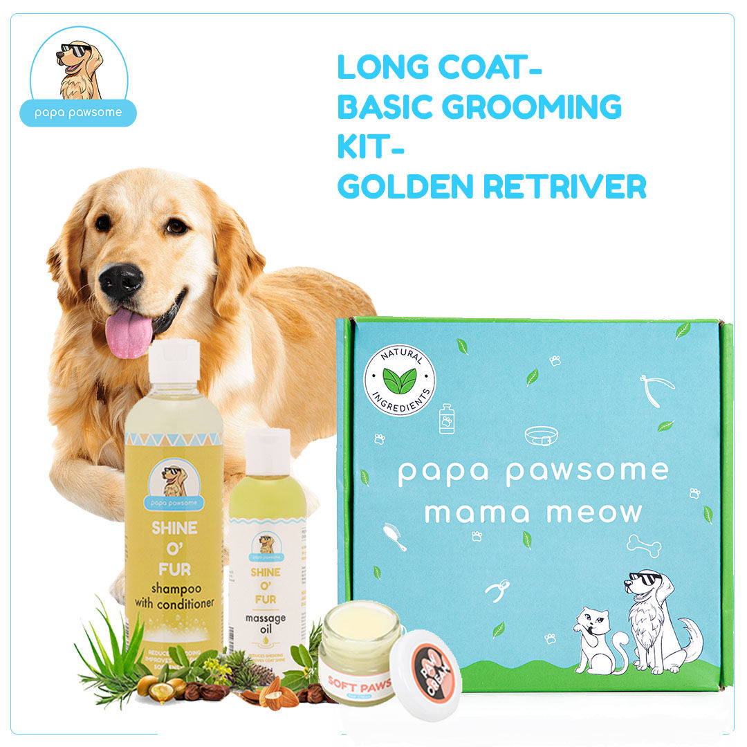 Papa Pawsome Long/drop Coat - Golden Retriever - Basic Grooming Kit
