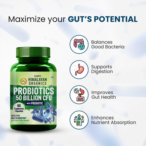 Supplement For Gut Health