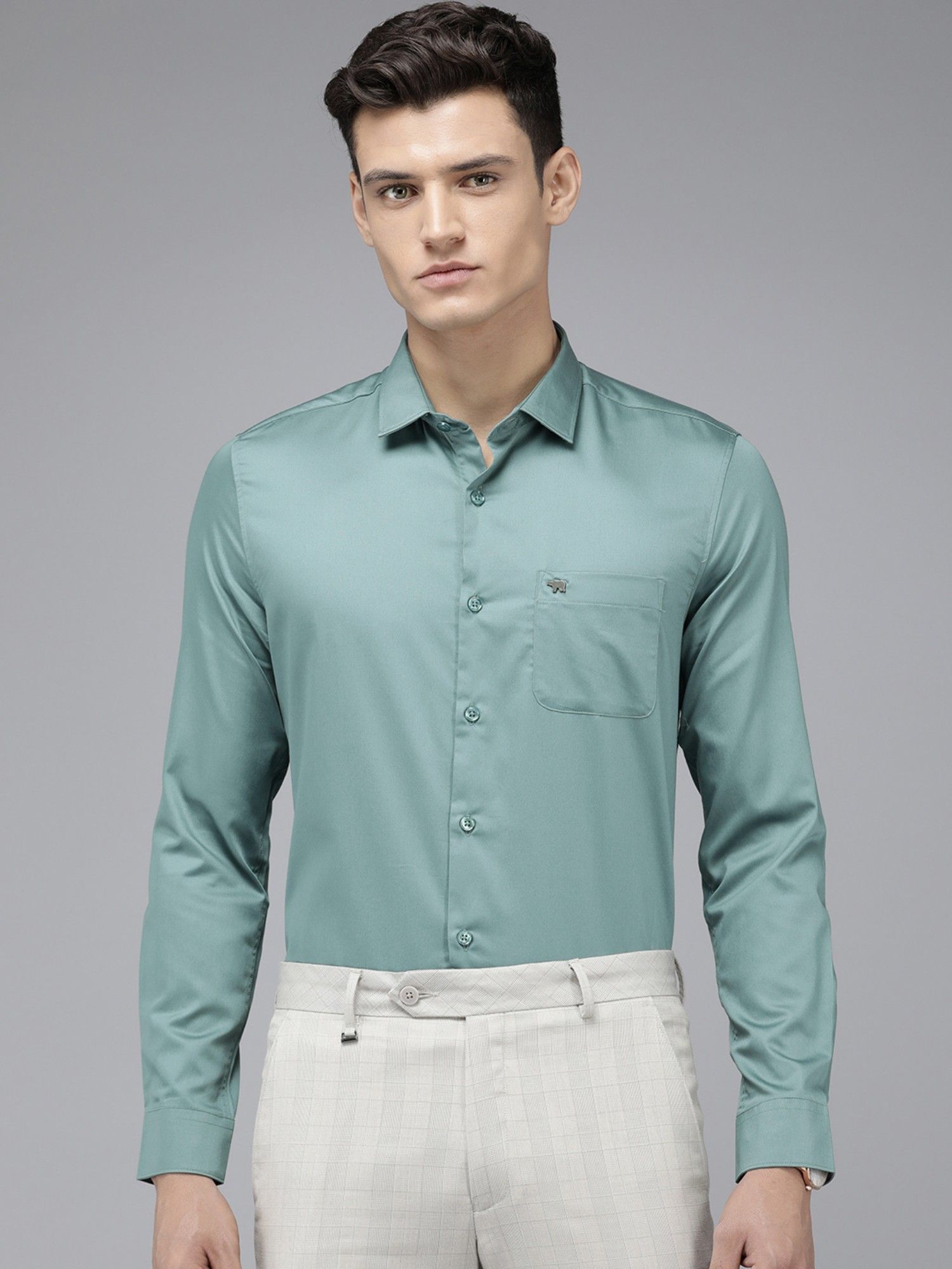 Buy The Bear House Ardor Edition Men Green Solid Egyptian Giza Cotton Formal Shirt Online 1705