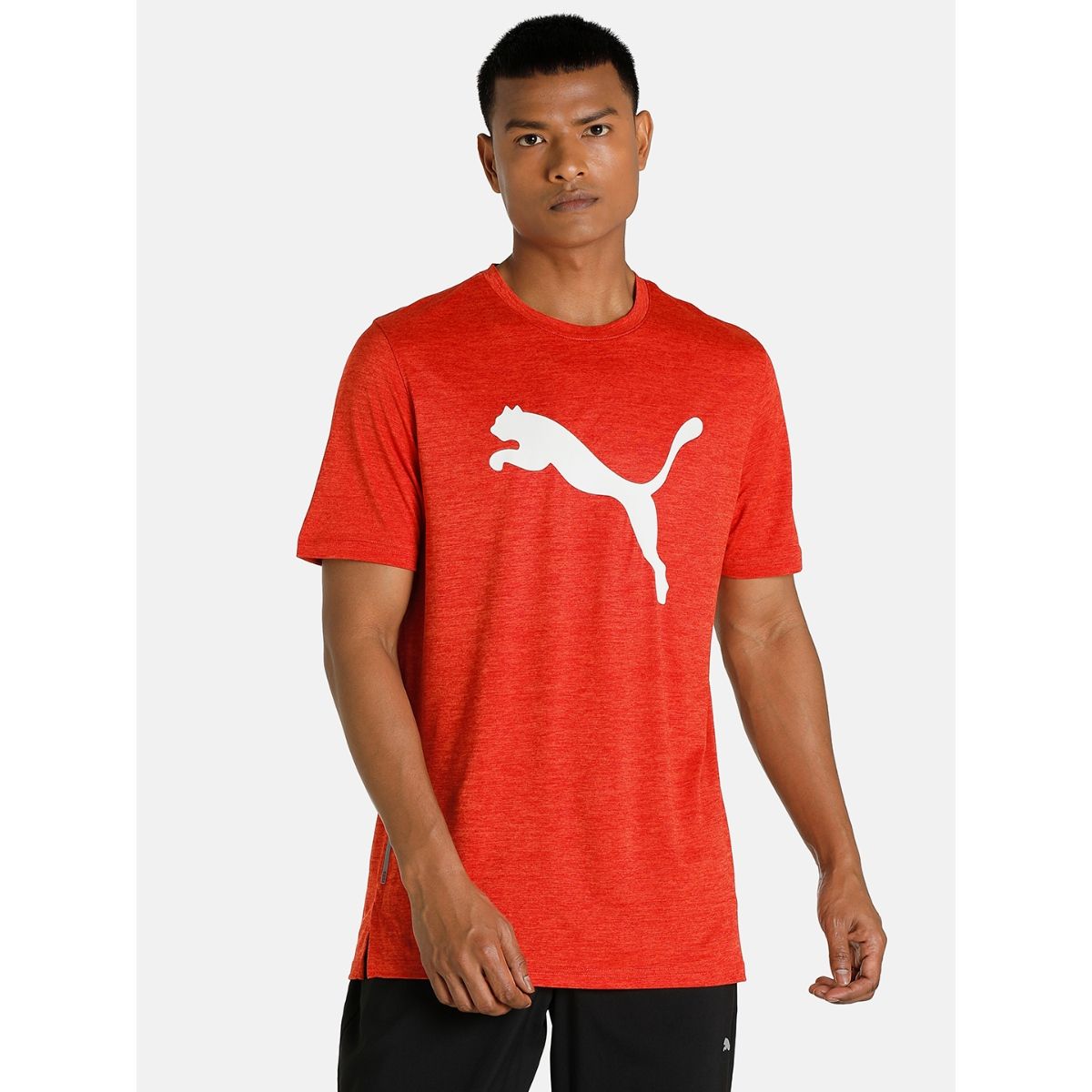 Puma heather online cat