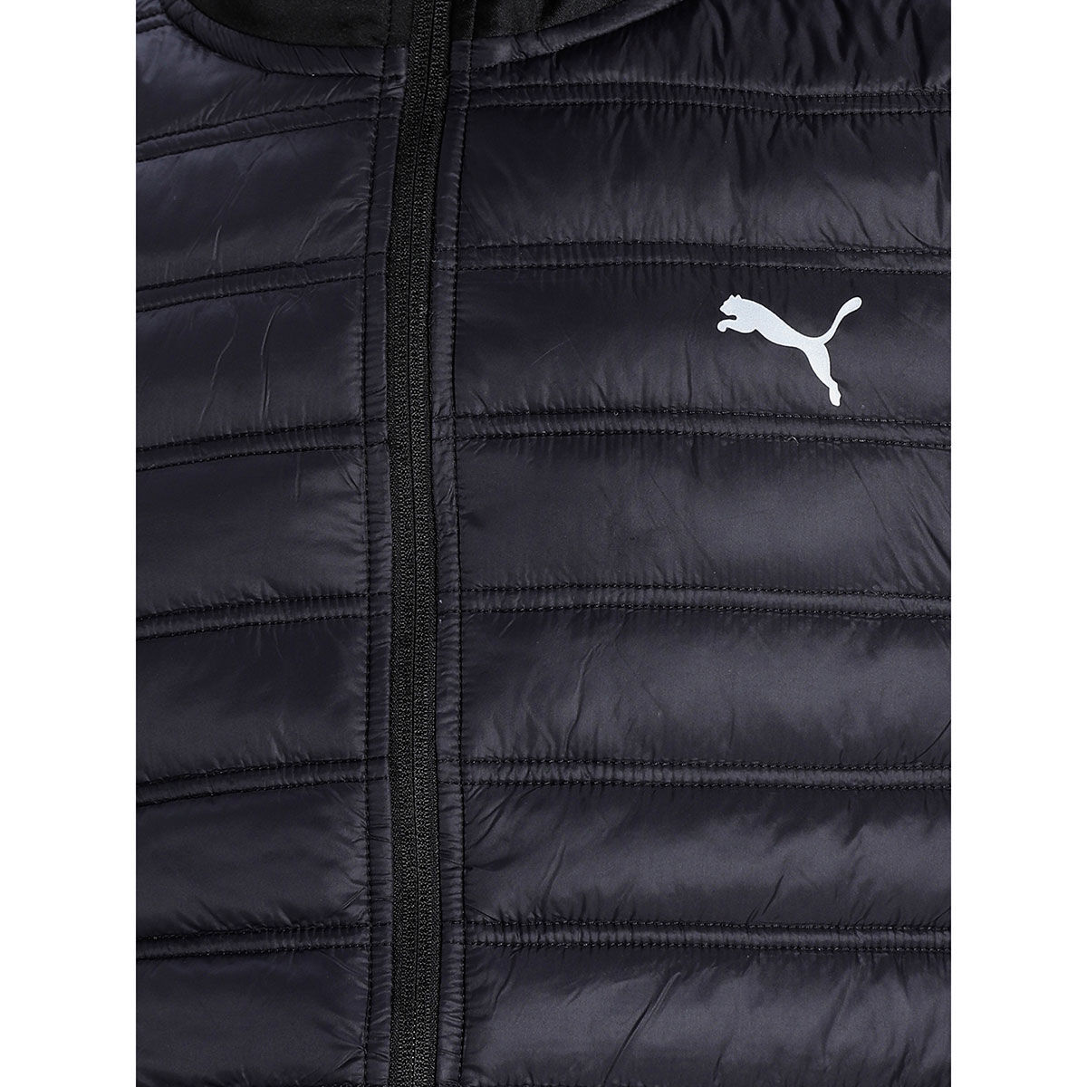 Buy Puma One8 Virat Kohli Slim Fit Men's Padded Jacket Online