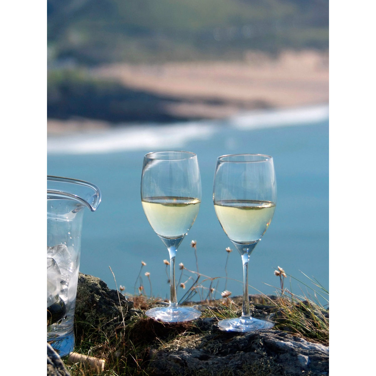 Dartington Crystal Wine Master White Wine Glass (set Of 2)