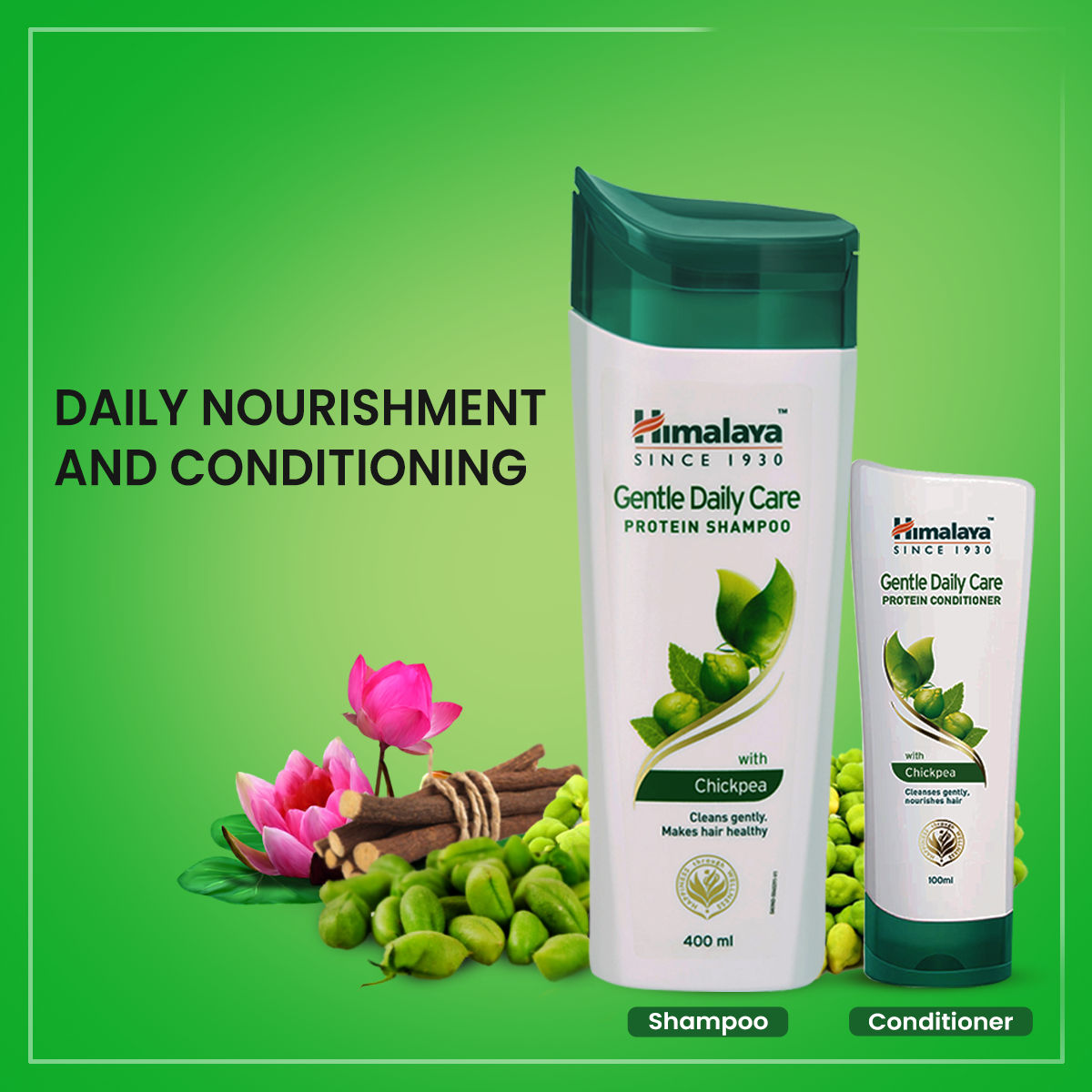 Himalaya Protein Shampoo Gentle Daily Care With Chickpea Buy Himalaya