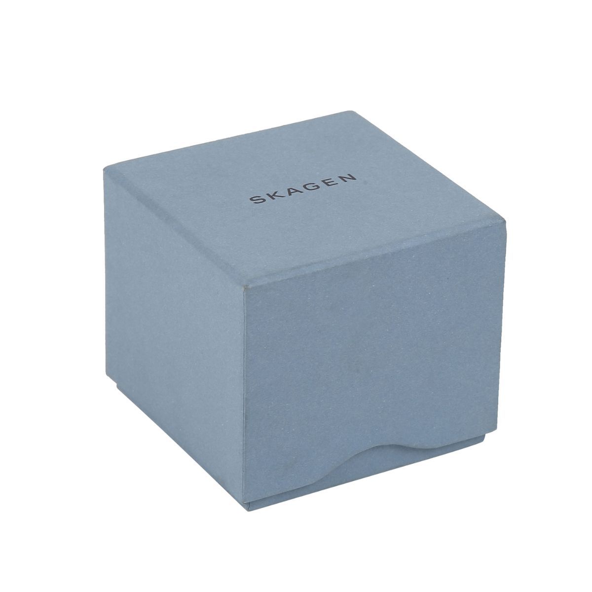 Skagen skw6551 sale