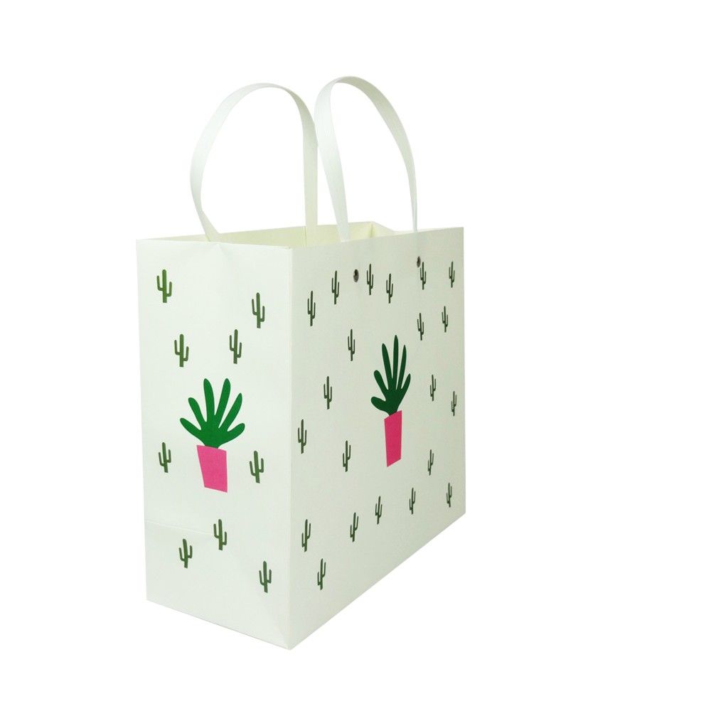 Bag of Small Things Cactus Gift Bag Set of 5 Buy Bag of Small Things