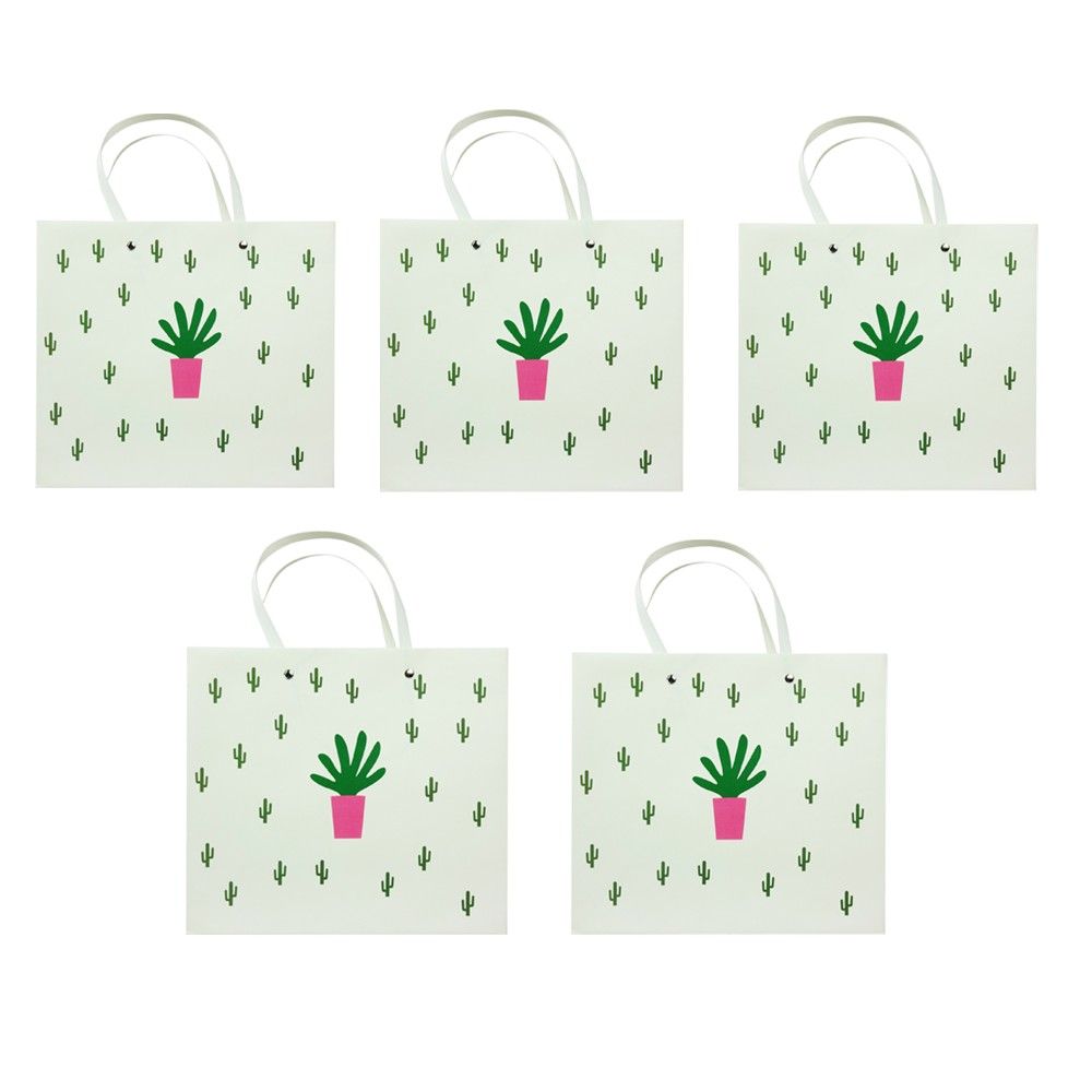 Bag of Small Things Cactus Gift Bag Set of 5 Buy Bag of Small Things