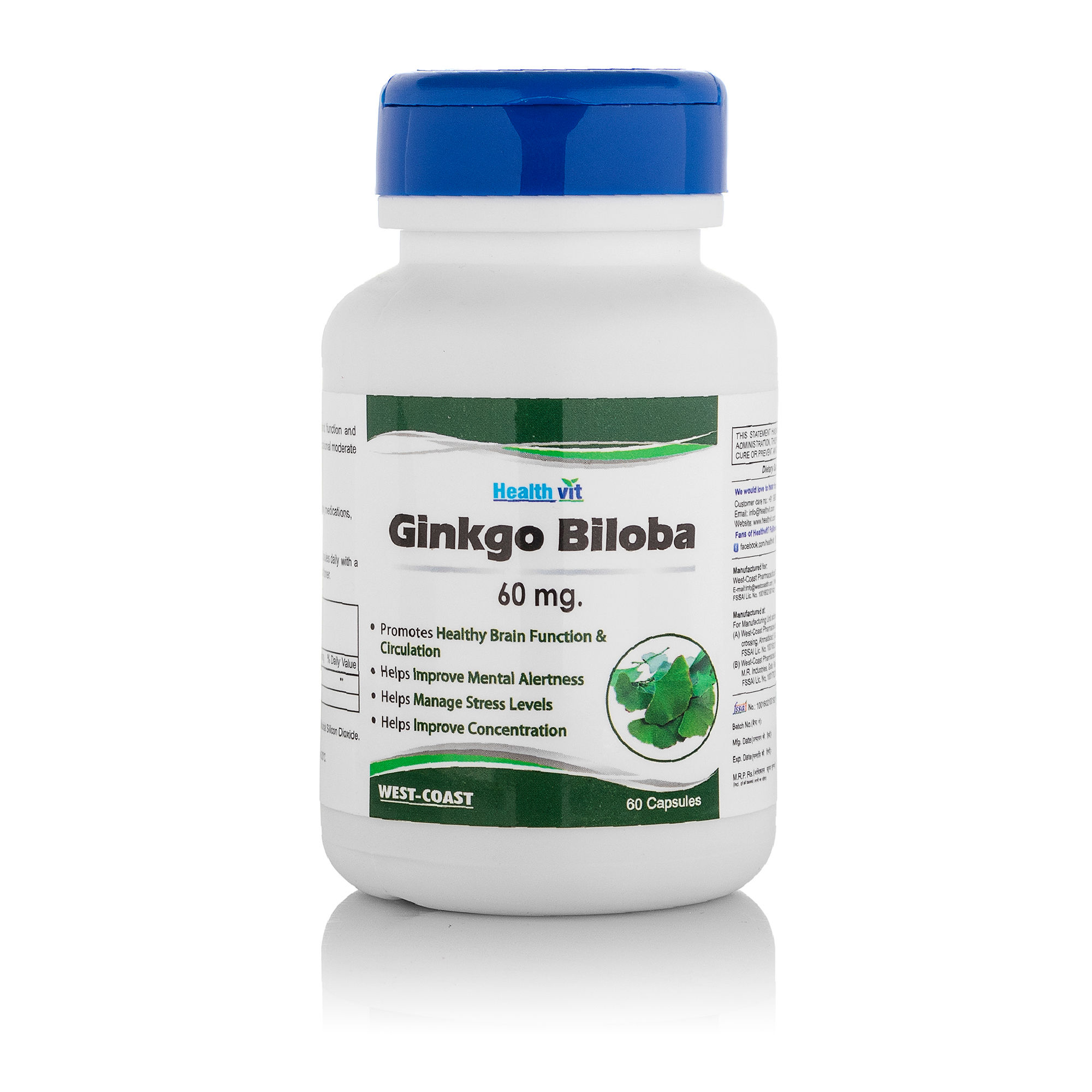 HealthVit Ginkgo Biloba 60 mg (60 Caps)