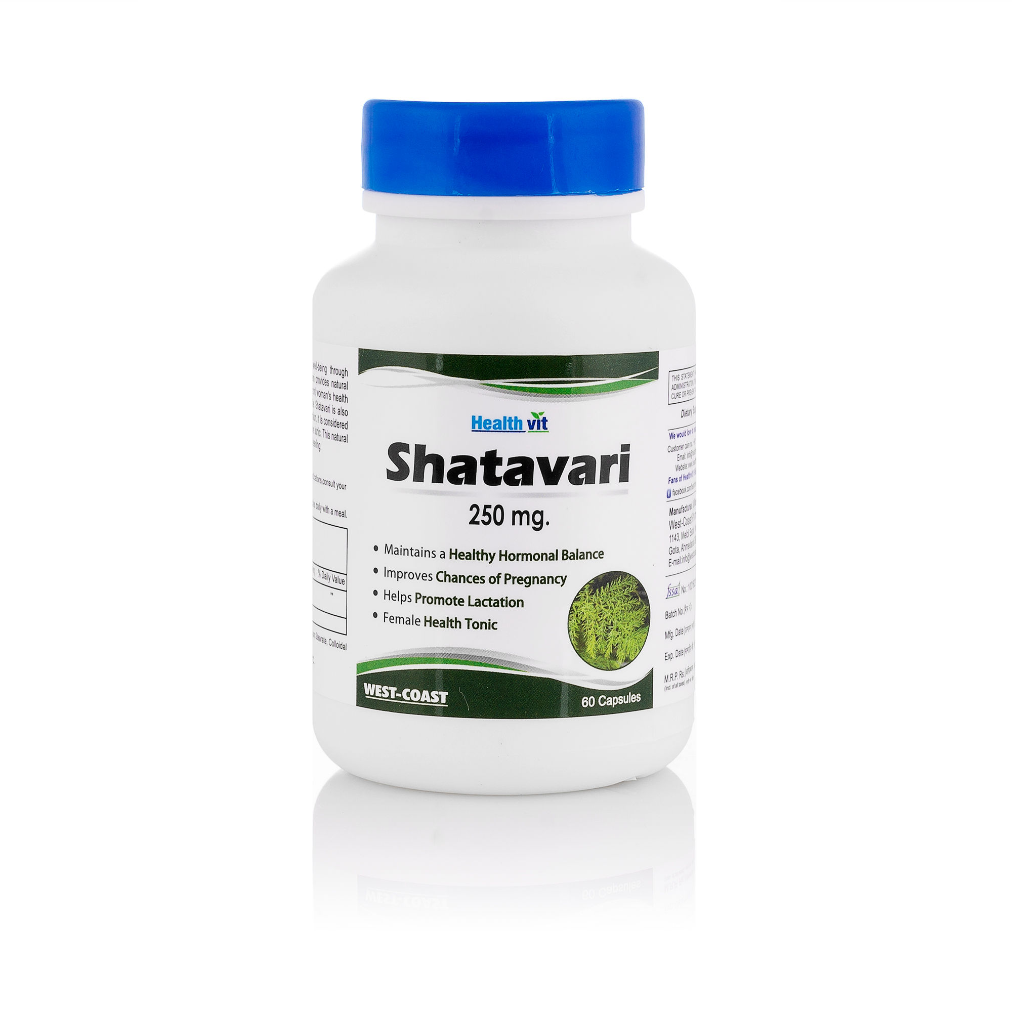 Healthvit Shatavari Powder 250mg (Pack of 2)