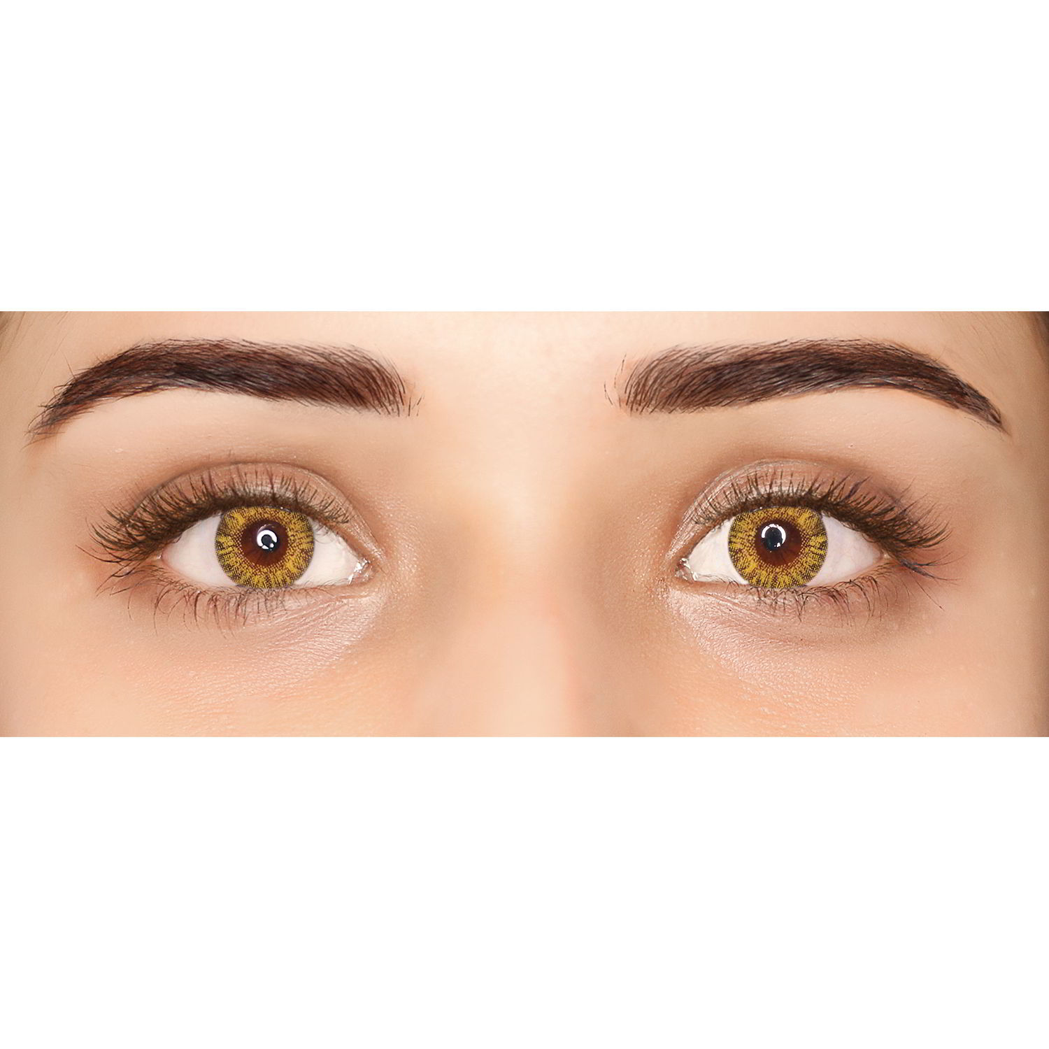 Featured image of post Hazel Contacts Lenses