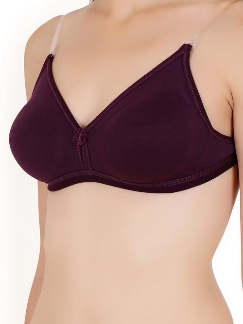 Buy Floret Padded Non-Wired 3/4Th Coverage T-Shirt Bra - Wine at