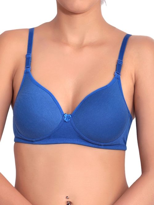 Buy Floret Double Layered Non Wired Full Coverage Super Support Bra - Nude  China Rose at Rs.898 online