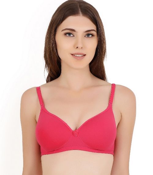 Buy MULTI COLOR PADDED NON WIRED BRA WITH POWER NET SET OF 2 for