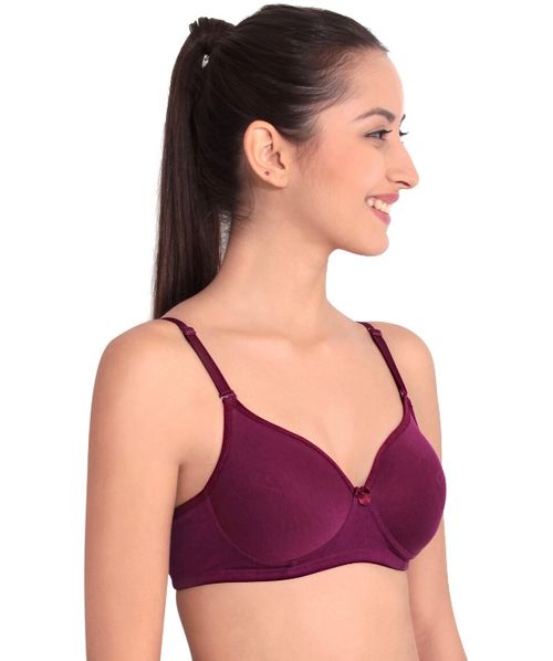 Buy Floret Pack of 2 Solid Non-Wired Heavily Padded Push-Up Bra -  Multi-Color online